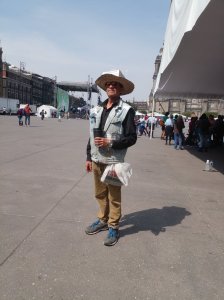 Webinars WordPress Inscripción